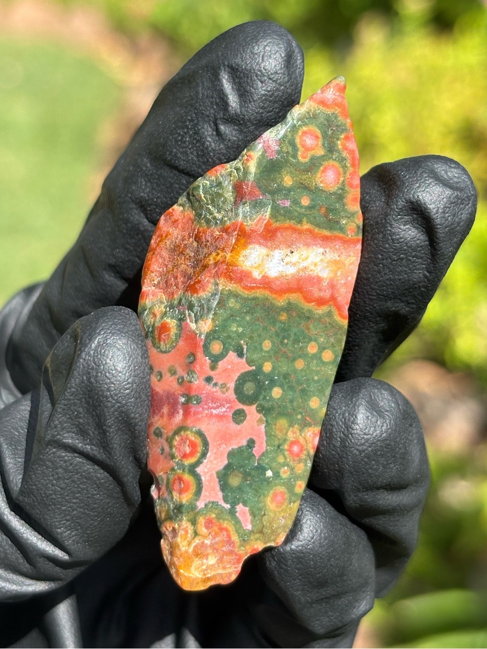 Ocean Jasper Crystal Slab - Polished Sea Jasper - Orbicular Jasper